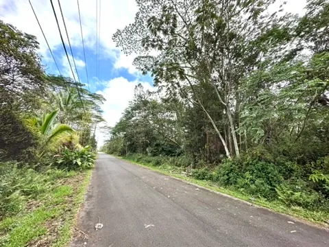 $30,000 | 78 Kupono Street, Pahoa, HI 96778