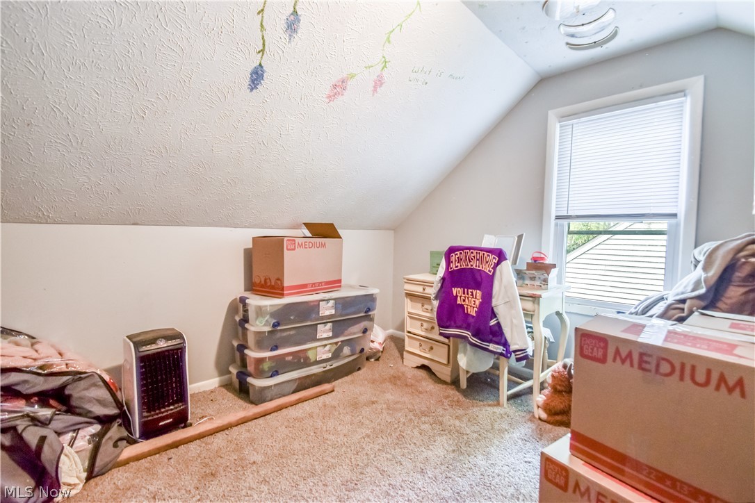 1969 Paisley Road Madison, OH 44057 - Photo 17 of 20 Carpeted interior space with a window featuring blinds, an angled ceiling, and textured ceiling finish