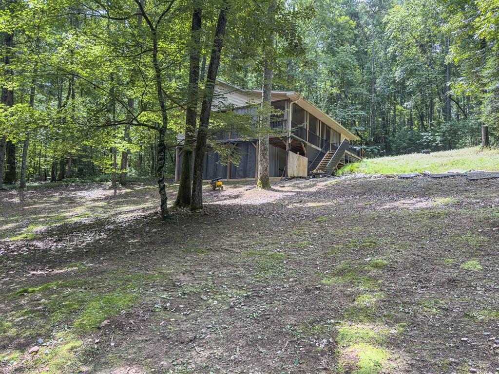 Main View
