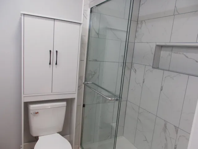 a bathroom with a shower and toilet