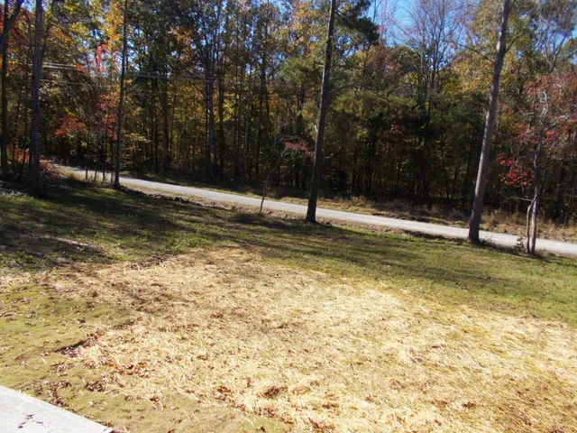 a view of a backyard with large trees