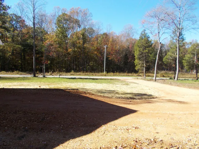 a view of backyard with tree
