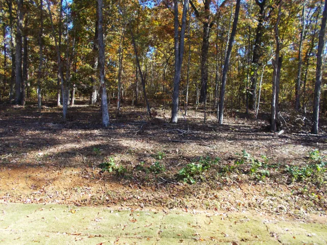 a big yard with trees in front of it