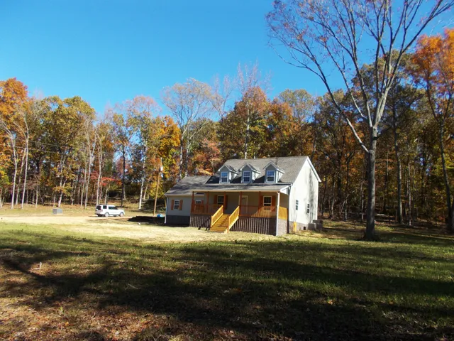 a view of a park with large trees