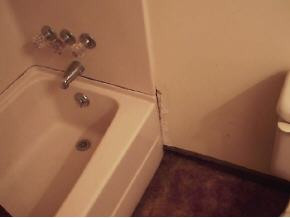 905 Lick Hollow Road, Unit 1 Greeneville, TN 37743 - Photo 4 of 6 Photo 4