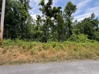 a view of outdoor space and trees