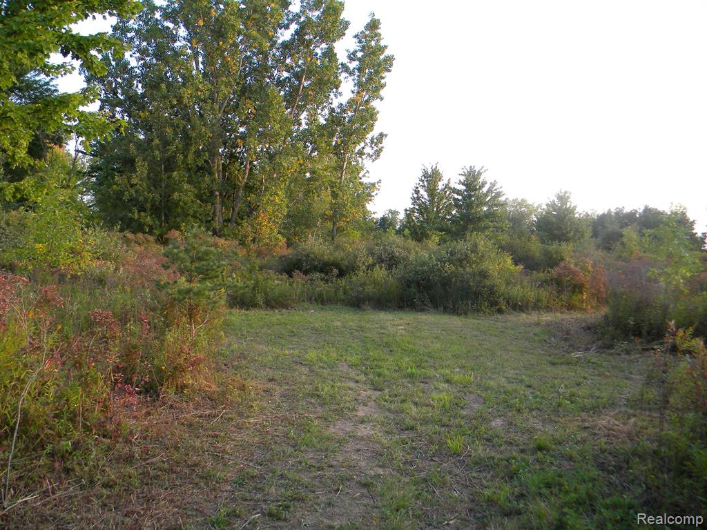 12137 Griffin Road Memphis, MI 48041 - Photo 7 of 10