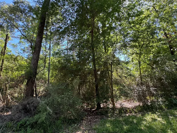 $2,543 | 28 Laurel Oak, Trinity, TX 75862