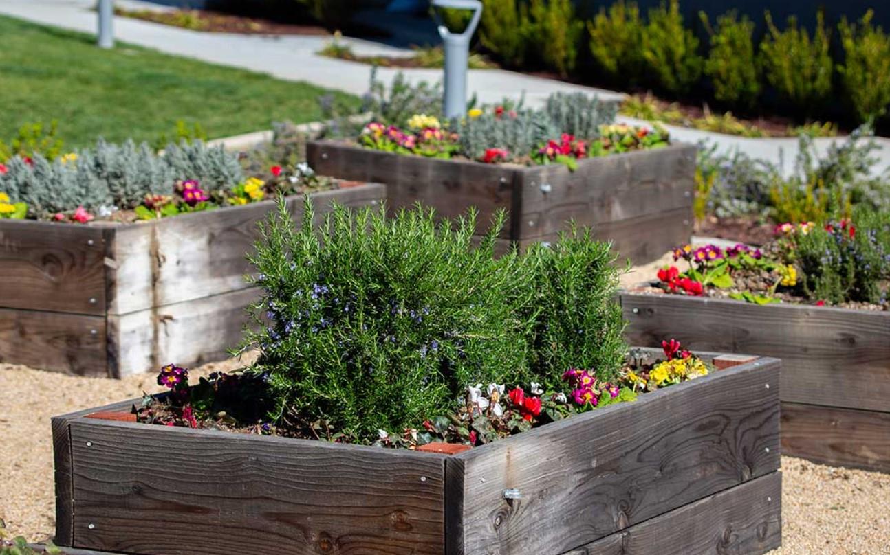 6681 Optimum Loop San Jose, CA 95119 - Photo 30 of 33