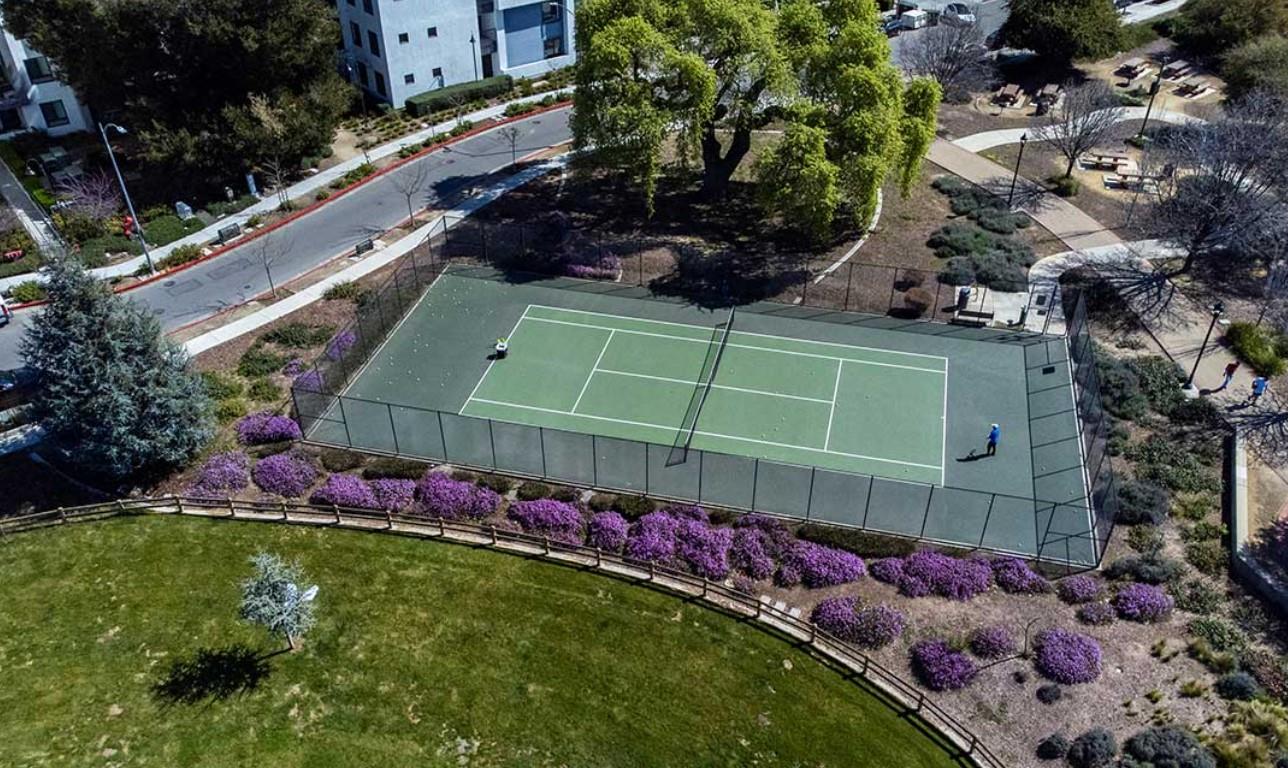 6681 Optimum Loop San Jose, CA 95119 - Photo 32 of 33 a view of a wooden house with a big yard and potted plants