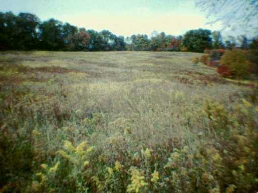 229 Smith Run Road Amity, PA 15311 - Photo 8 of 8