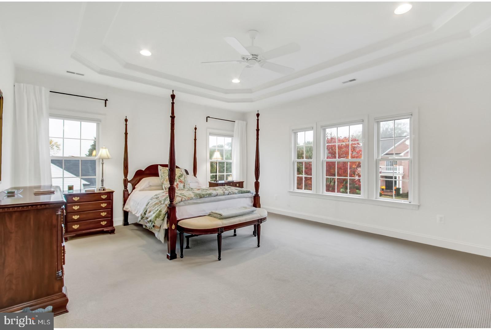 603 Hawkshead Road Lutherville-Timonium, MD 21093 - Photo 18 of 28 ABUNDANCE OF WINDOWS AND BEAUTIFUL TRAY CEILING