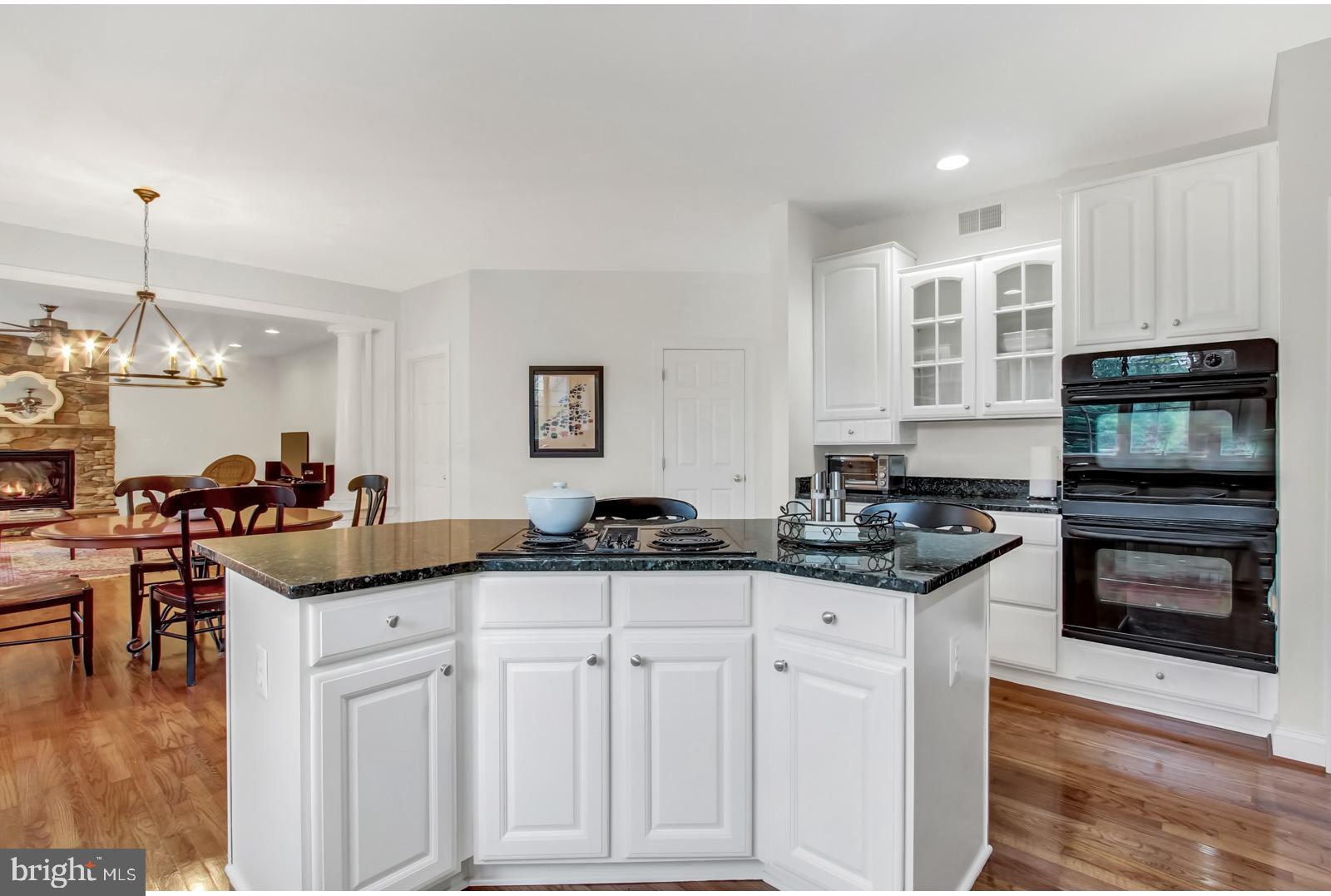 603 Hawkshead Road Lutherville-Timonium, MD 21093 - Photo 9 of 28 ISLAND AND BREAKFAST COUNTER