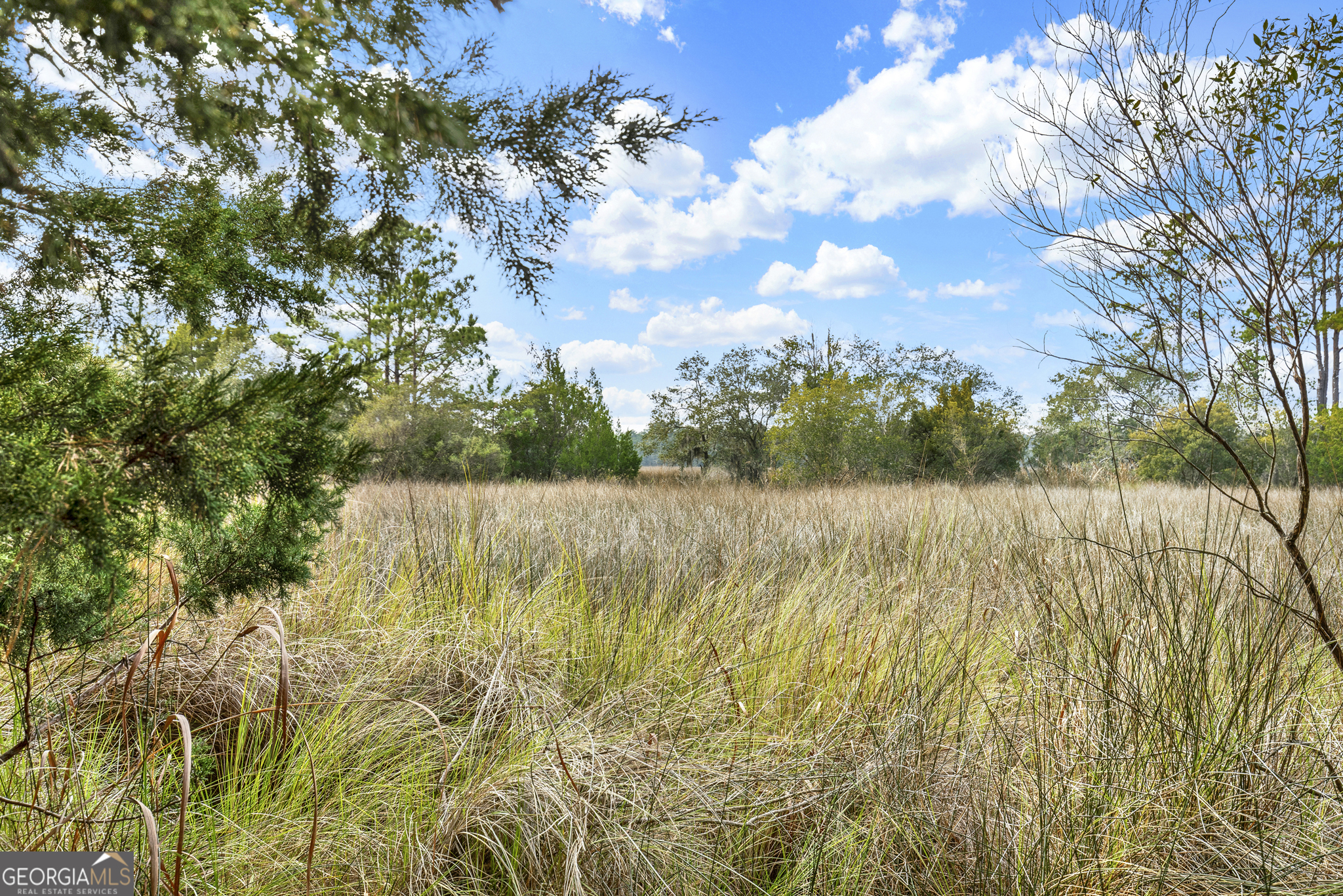 a view of yard with swimming pool and green space