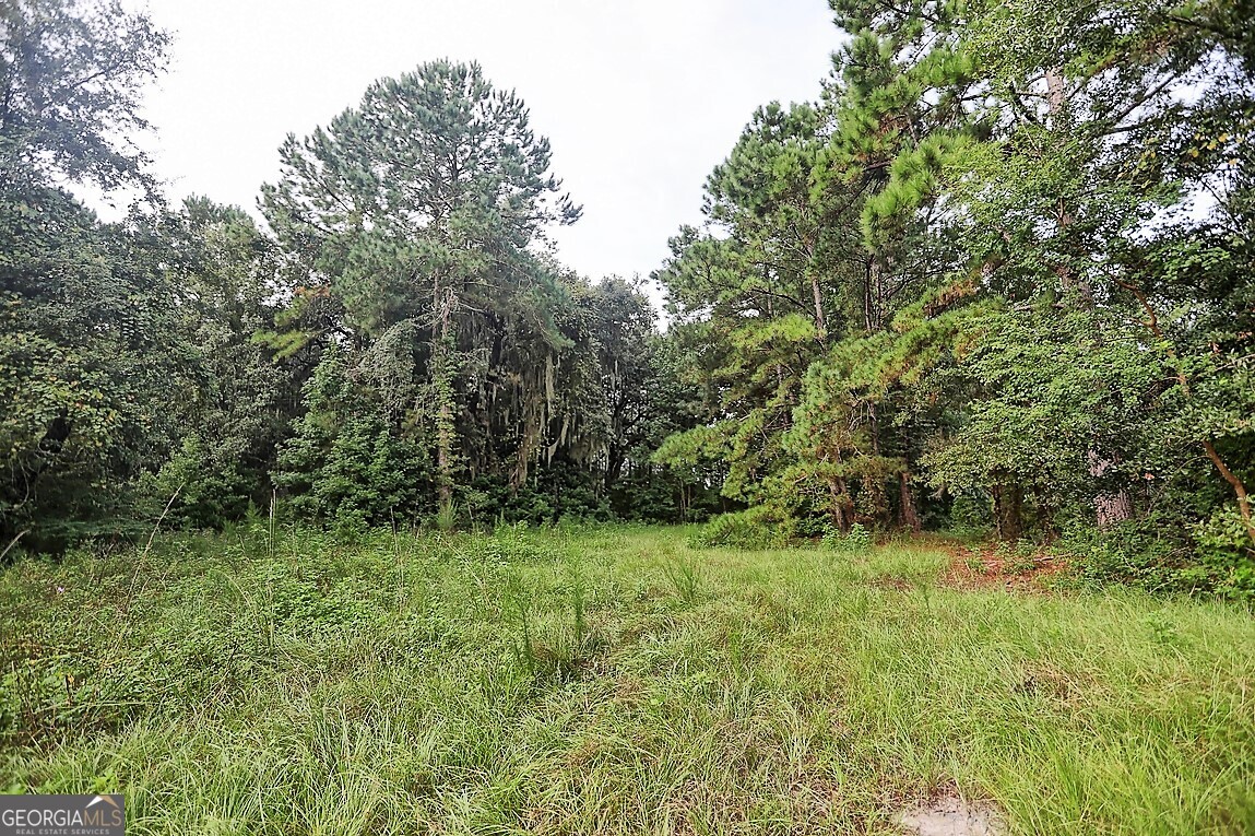187 Burton Road Savannah, GA 31405 - Photo 12 of 17 a view of outdoor space with trees all around