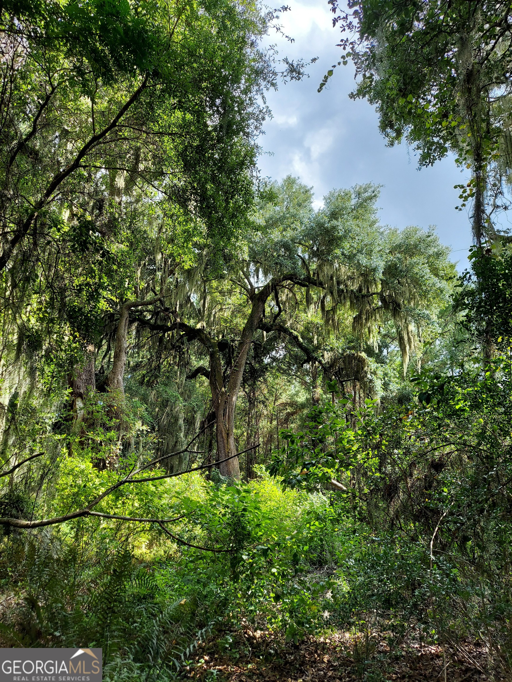 187 Burton Road Savannah, GA 31405 - Photo 15 of 17 a view of a tree in a garden