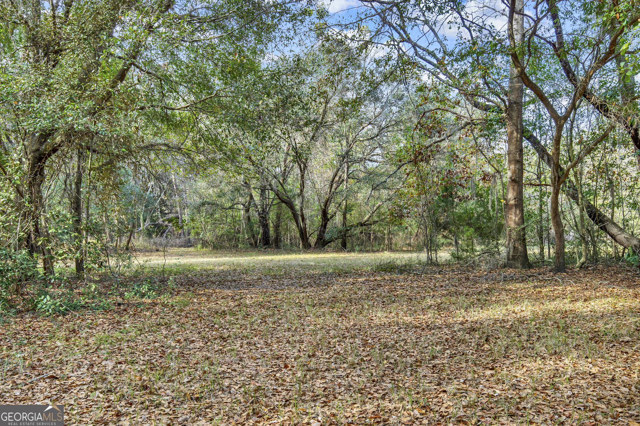 187 Burton Road Savannah, GA 31405 - Photo 21 of 30 a view of a yard with a tree