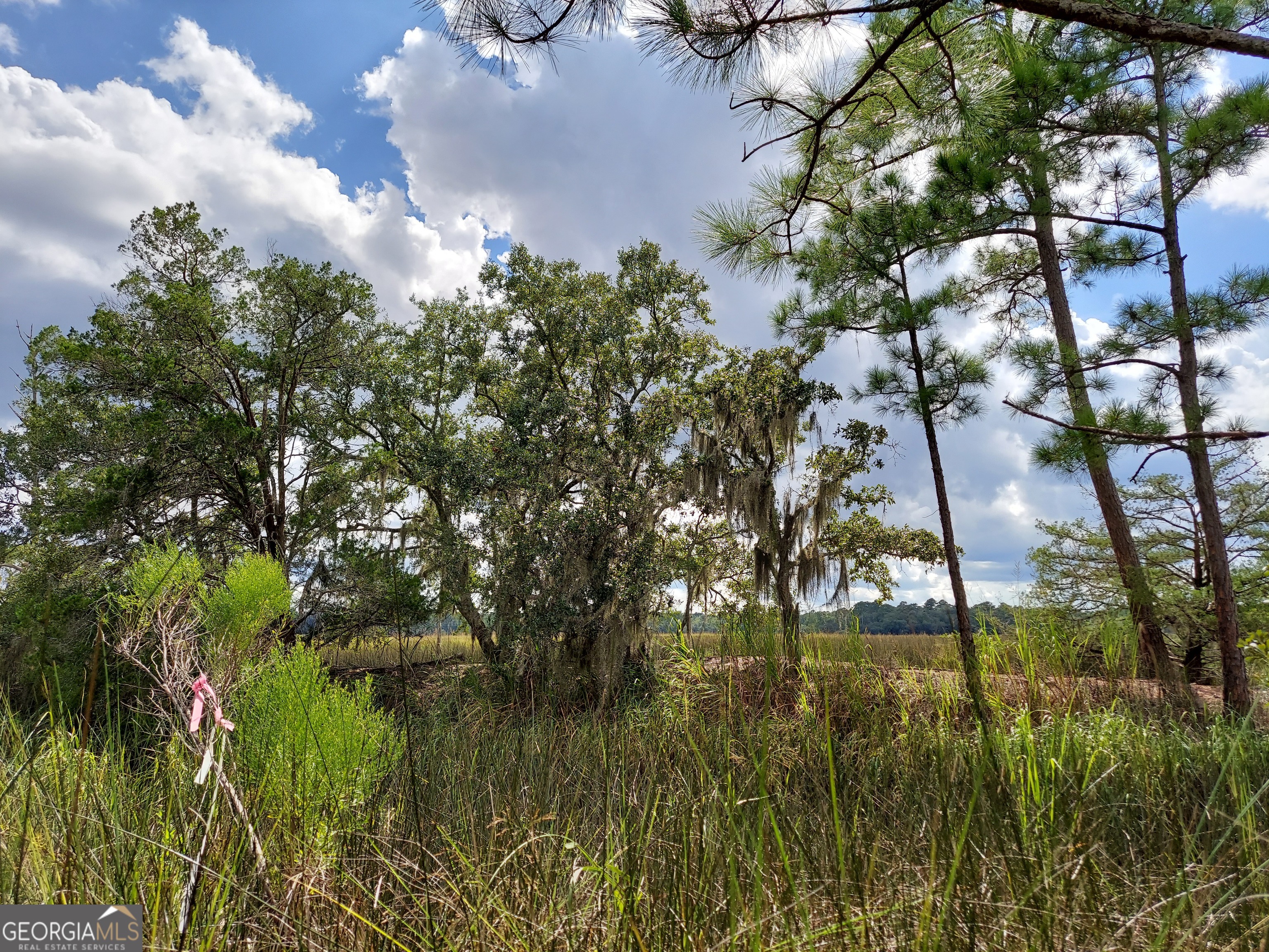 187 Burton Road Savannah, GA 31405 - Photo 6 of 17 a backyard of a house with lots of green space