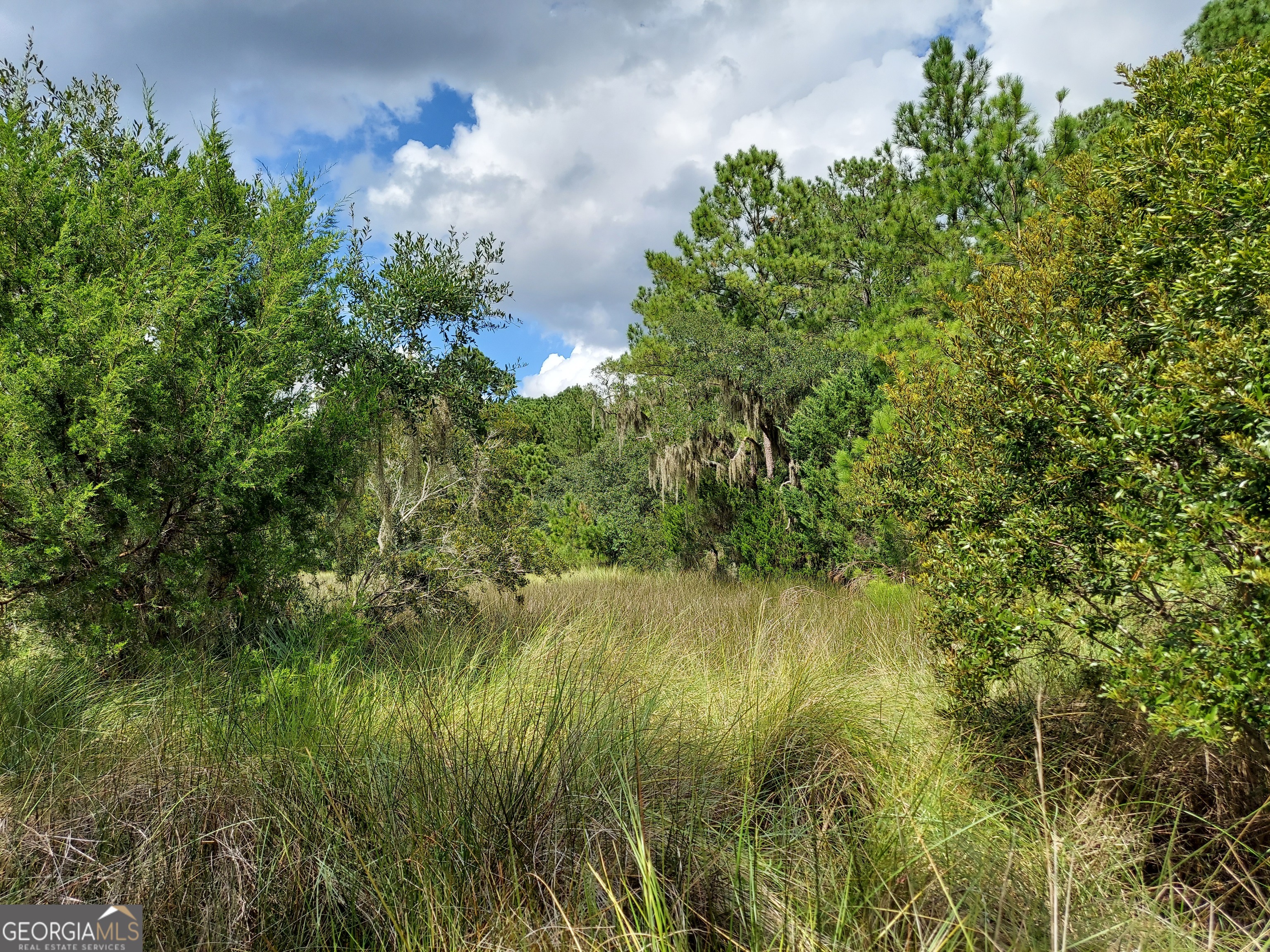 187 Burton Road Savannah, GA 31405 - Photo 7 of 17 a view of a lake