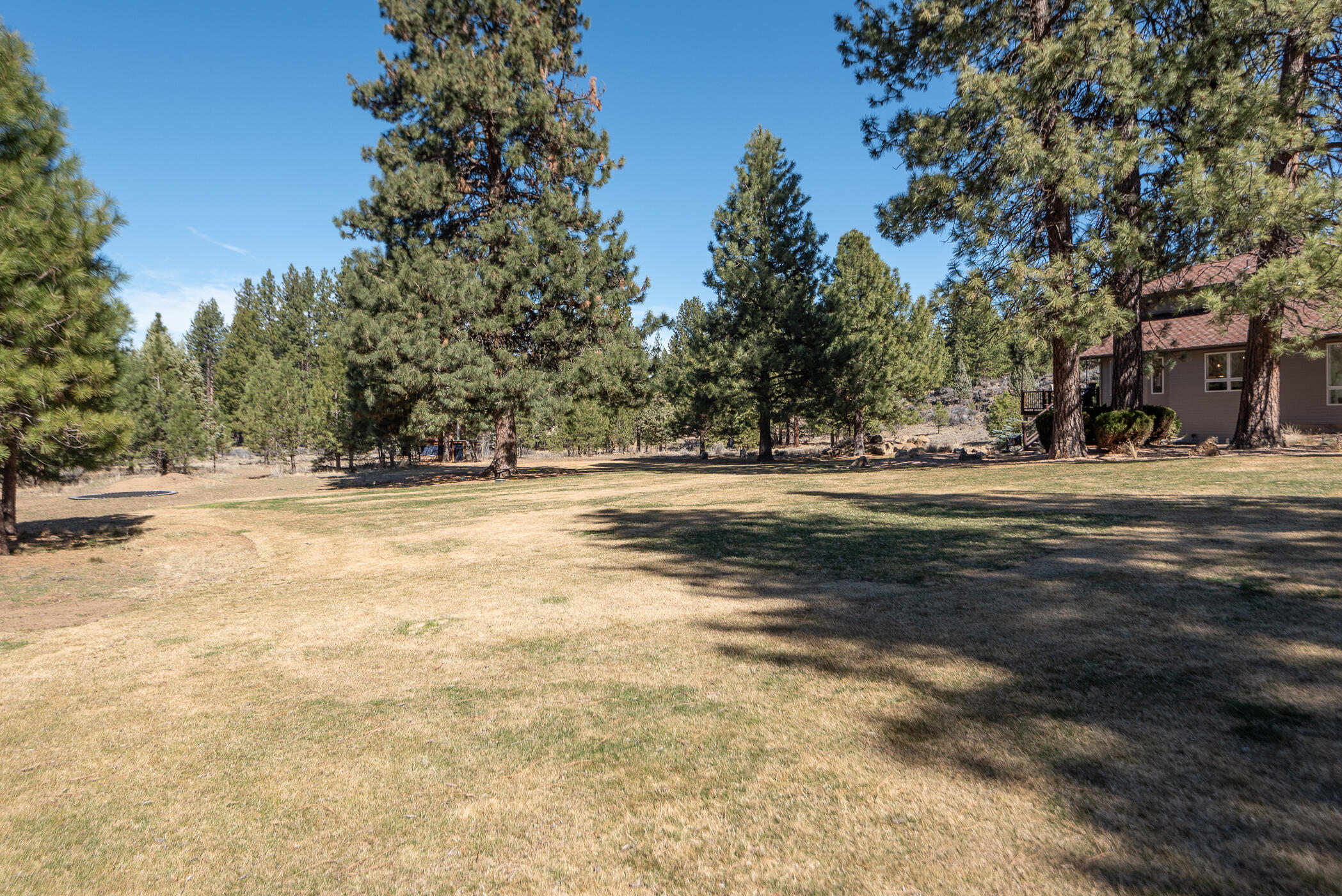 60012 West Ridgeview Drive Bend, OR 97702 - Photo 43 of 55 a view of dirt field with trees