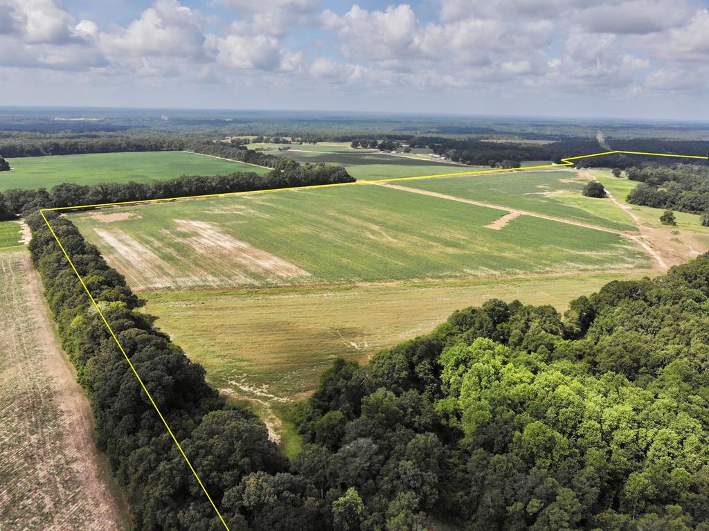 318.5-ac Goose Hollow Road Geneva, AL 36340 - Photo 25 of 50