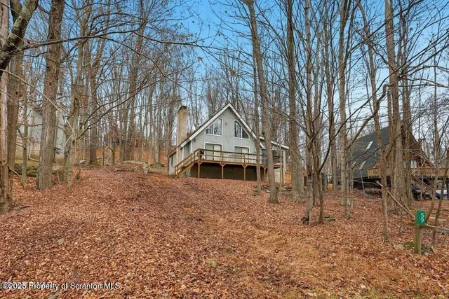 a close up of a palm tree