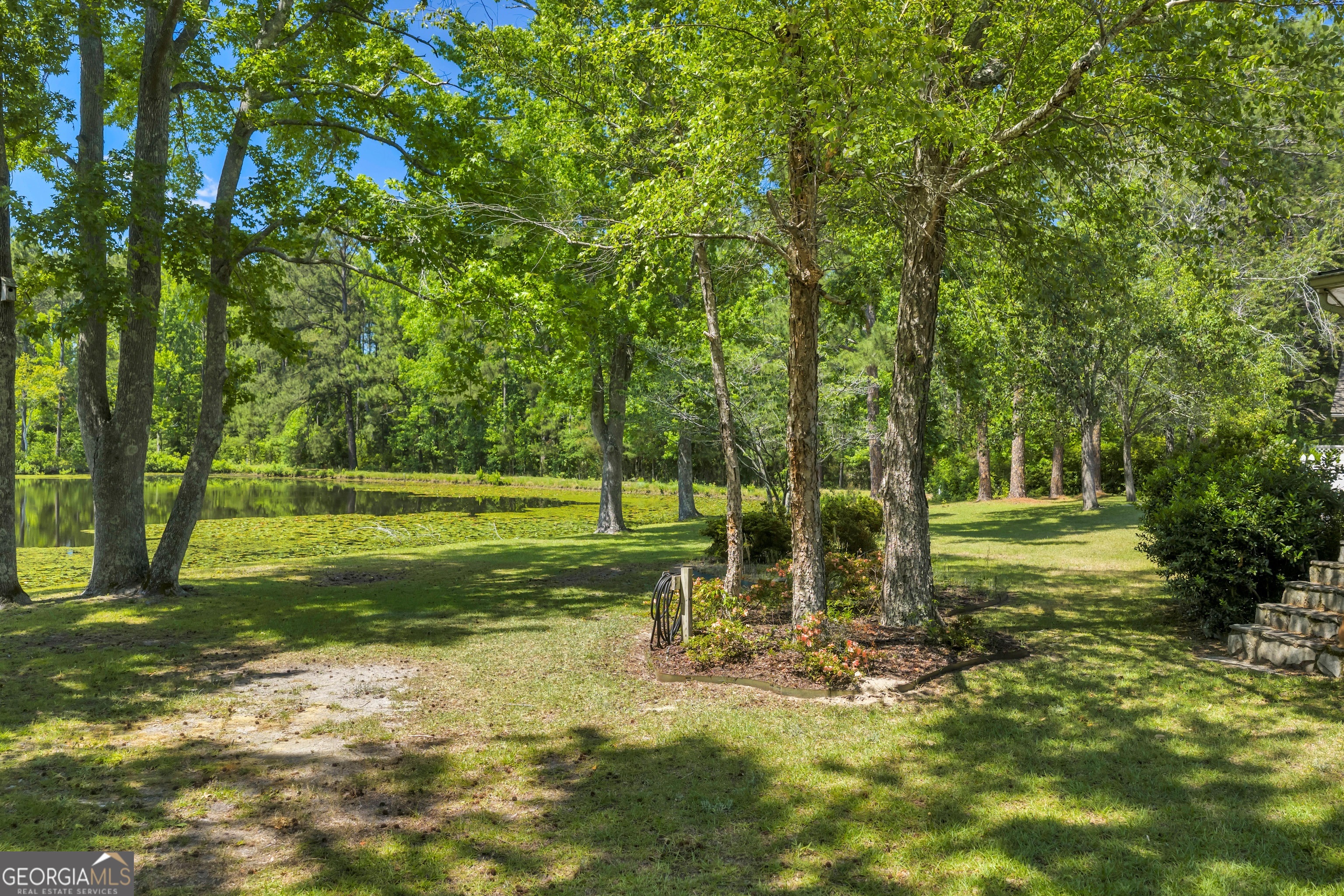 87 Georgia Avenue Adrian, GA 31002 - Photo 18 of 74 a view of a park with a tree