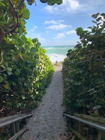 a picture of flowers