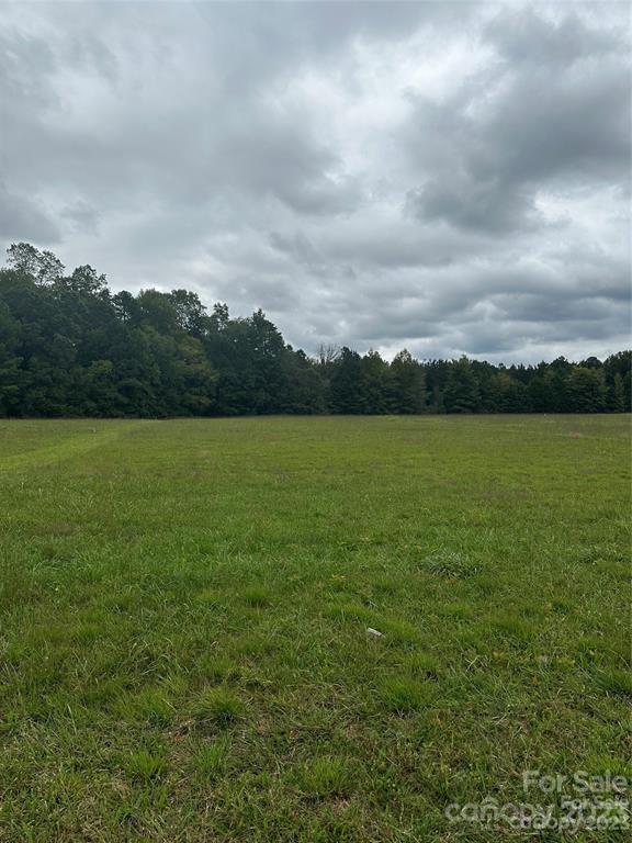 0 Emanuel Church Road, Unit 5 Rockwell, NC 28138 - Photo 2 of 3 a view of a lake with a big yard