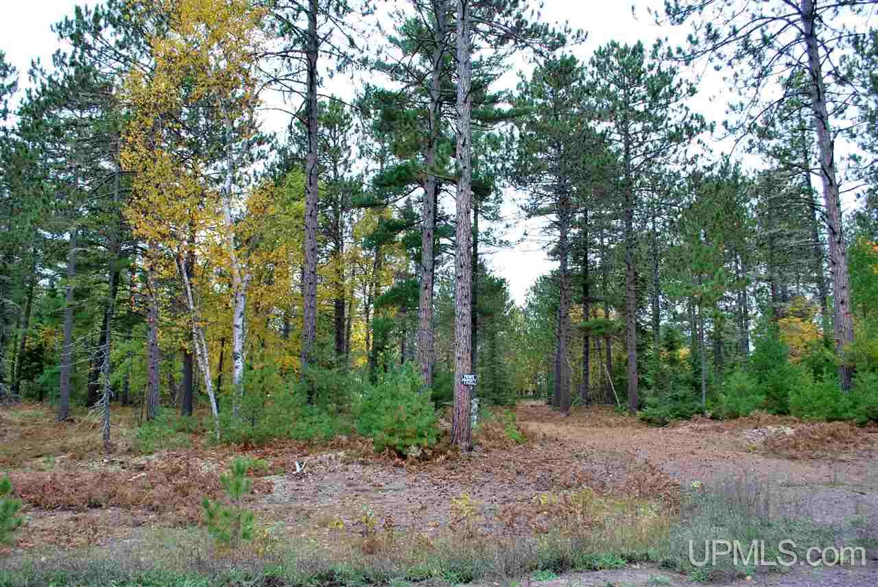 Tbd Little Rice Lake Rd (lot 18), Unit 18 Lake Linden, MI 49945 - Photo 4 of 34