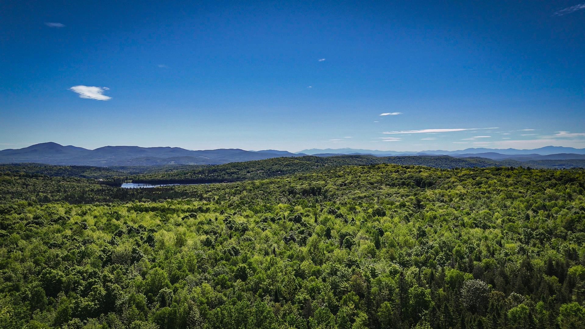 785 Leroux Road Wheelock, VT 05851 - Photo 47 of 57