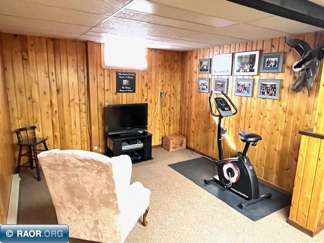 12317 Town Line Road Hibbing, MN 55746 - Photo 19 of 31