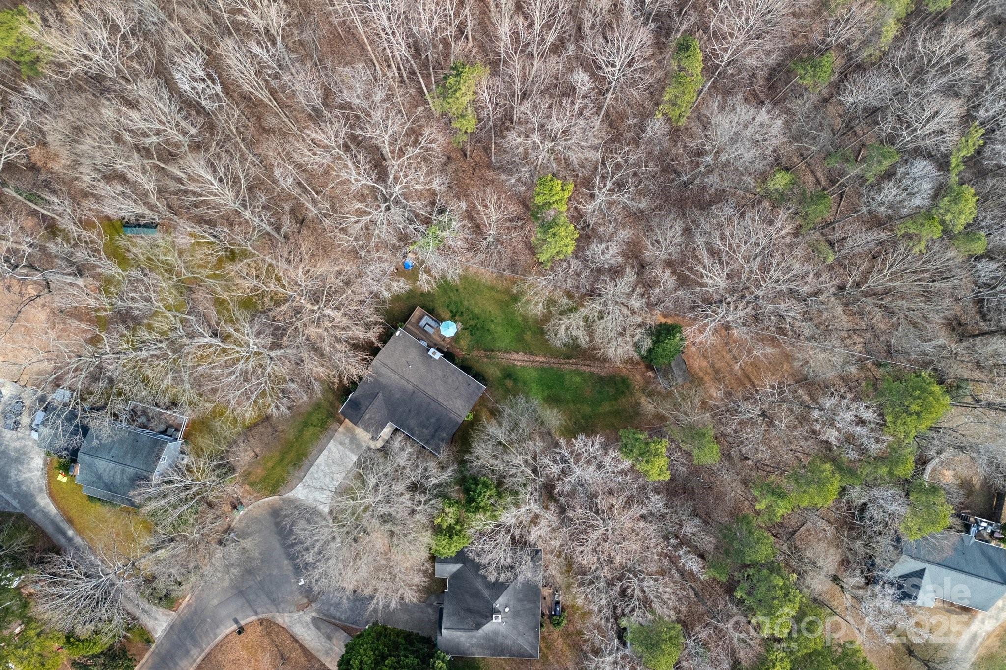 120 Banks Ridge Road Fort Mill, SC 29715 - Photo 25 of 37 a view of a tree with a yard