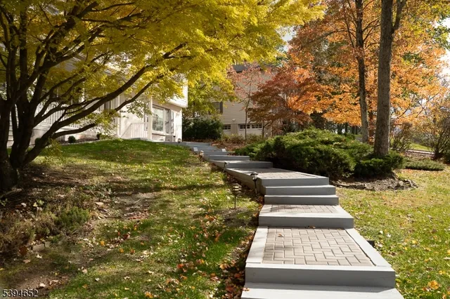 a view of a yard with plants