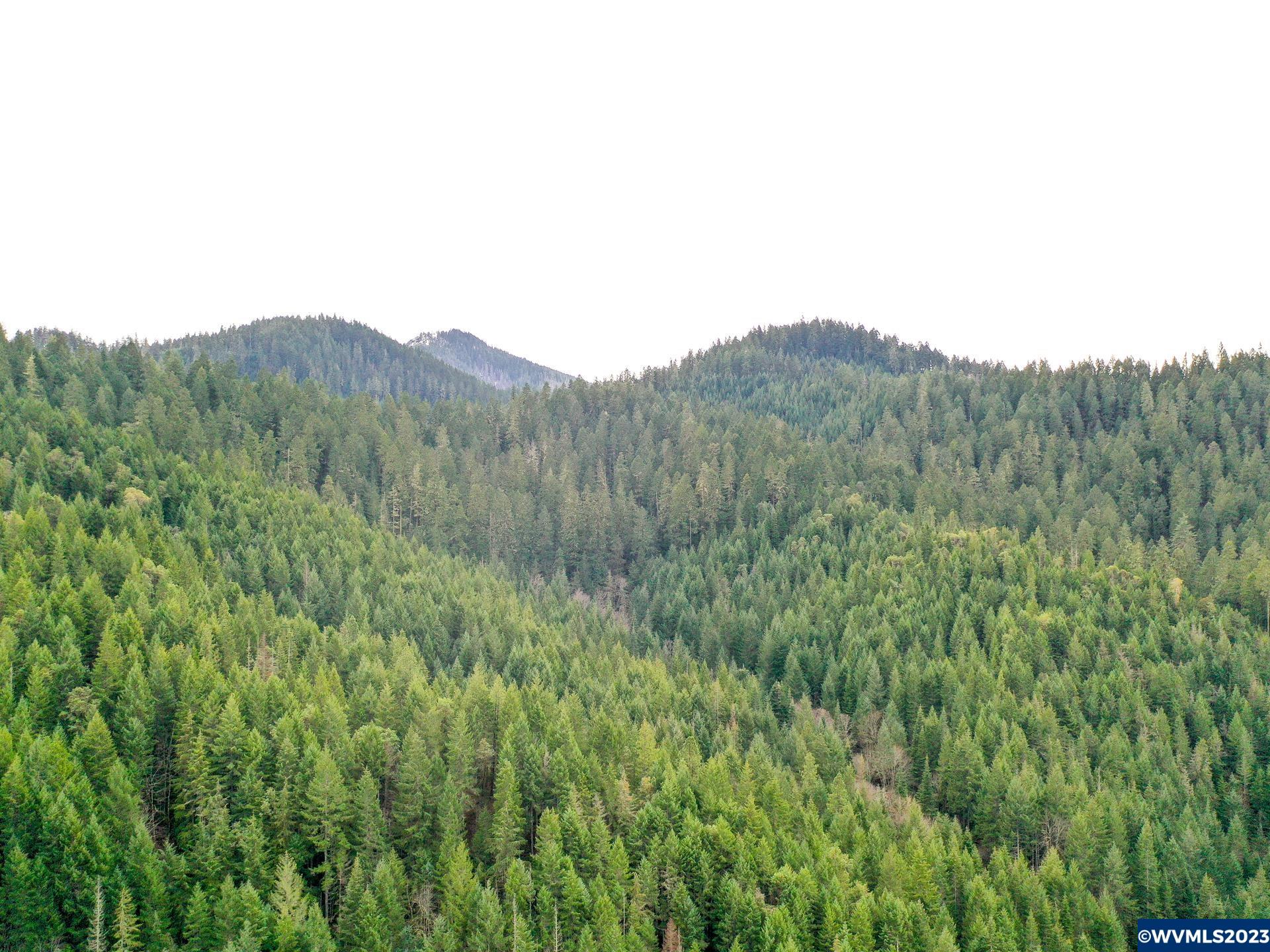 19289 Upper Cow Creek Road Azalea, OR 97410 - Photo 21 of 30 Gallery Image 21