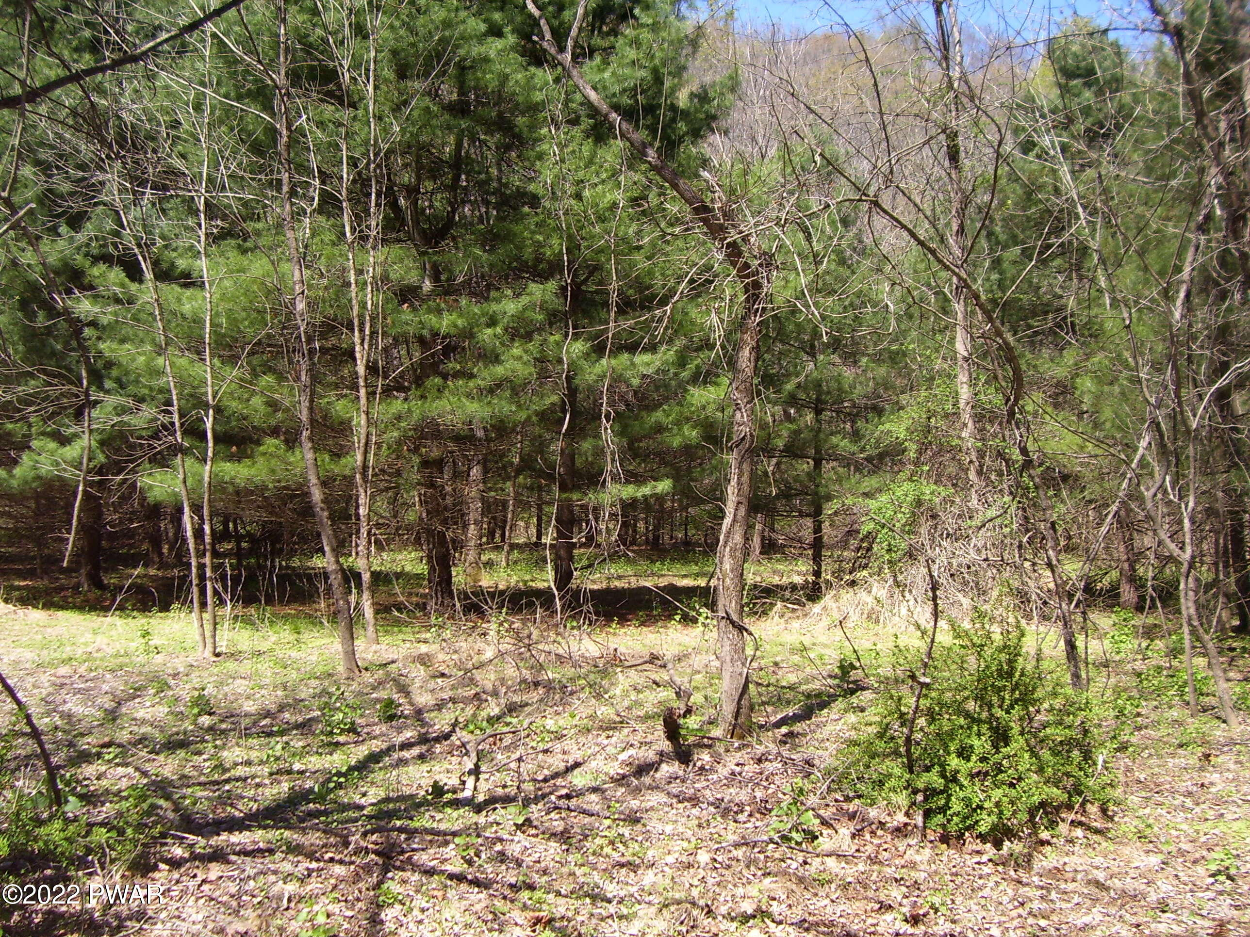 5 St Vincents Point Road Lackawaxen, PA 18435 - Photo 9 of 14