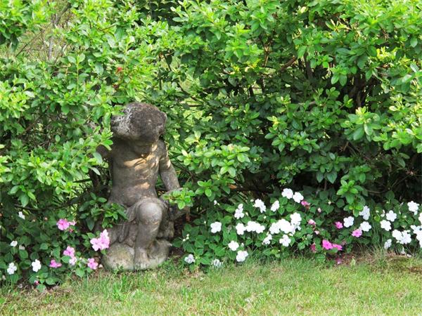 39 Highland Road Boxford, MA 01921 - Photo 30 of 30 a view of flowers in a garden
