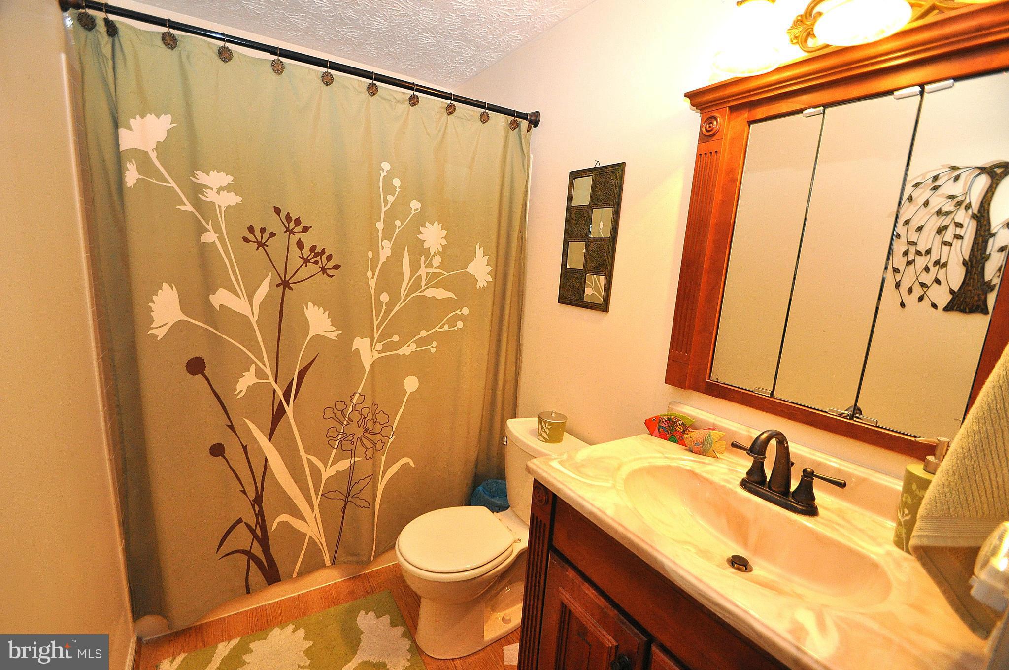 10 Greenleaf Road Baltimore, MD 21234 - Photo 14 of 30 Bath