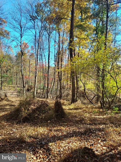 64 Metz Road Thompsontown, PA 17094 - Photo 48 of 69 upper acreage