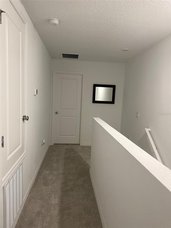 3021 Skyline Loop Kissimmee, FL 34758 - Photo 39 of 57