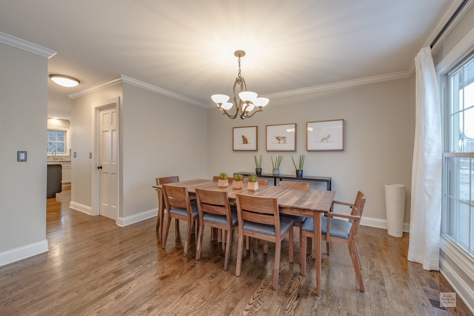 2220 Snapdragon Road Naperville, IL 60564 - Photo 3 of 41