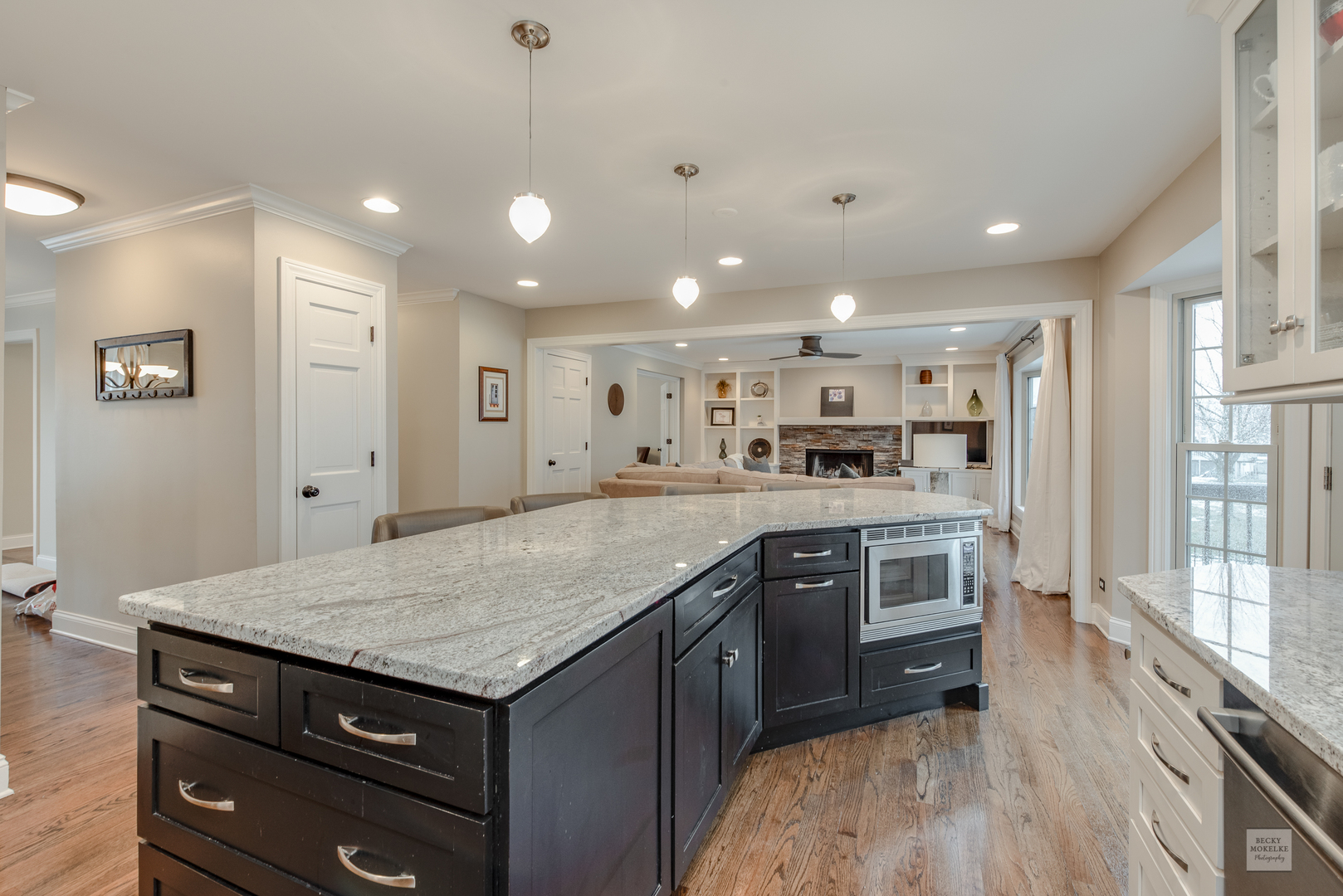2220 Snapdragon Road Naperville, IL 60564 - Photo 9 of 41