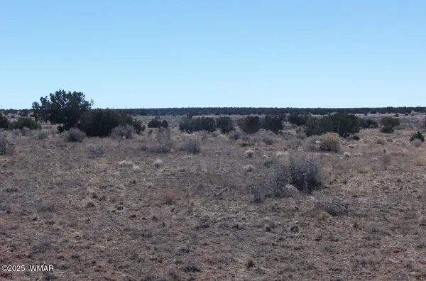 a view of a dry field with trees in the background