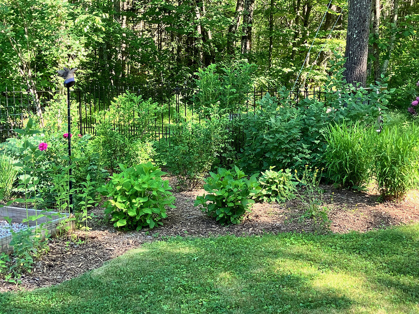 14 Lawrence Lane Kennebunk, ME 04043 - Photo 49 of 53 Front1