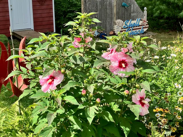 $849,000 | 14 Lawrence Lane, Kennebunk, ME 04043