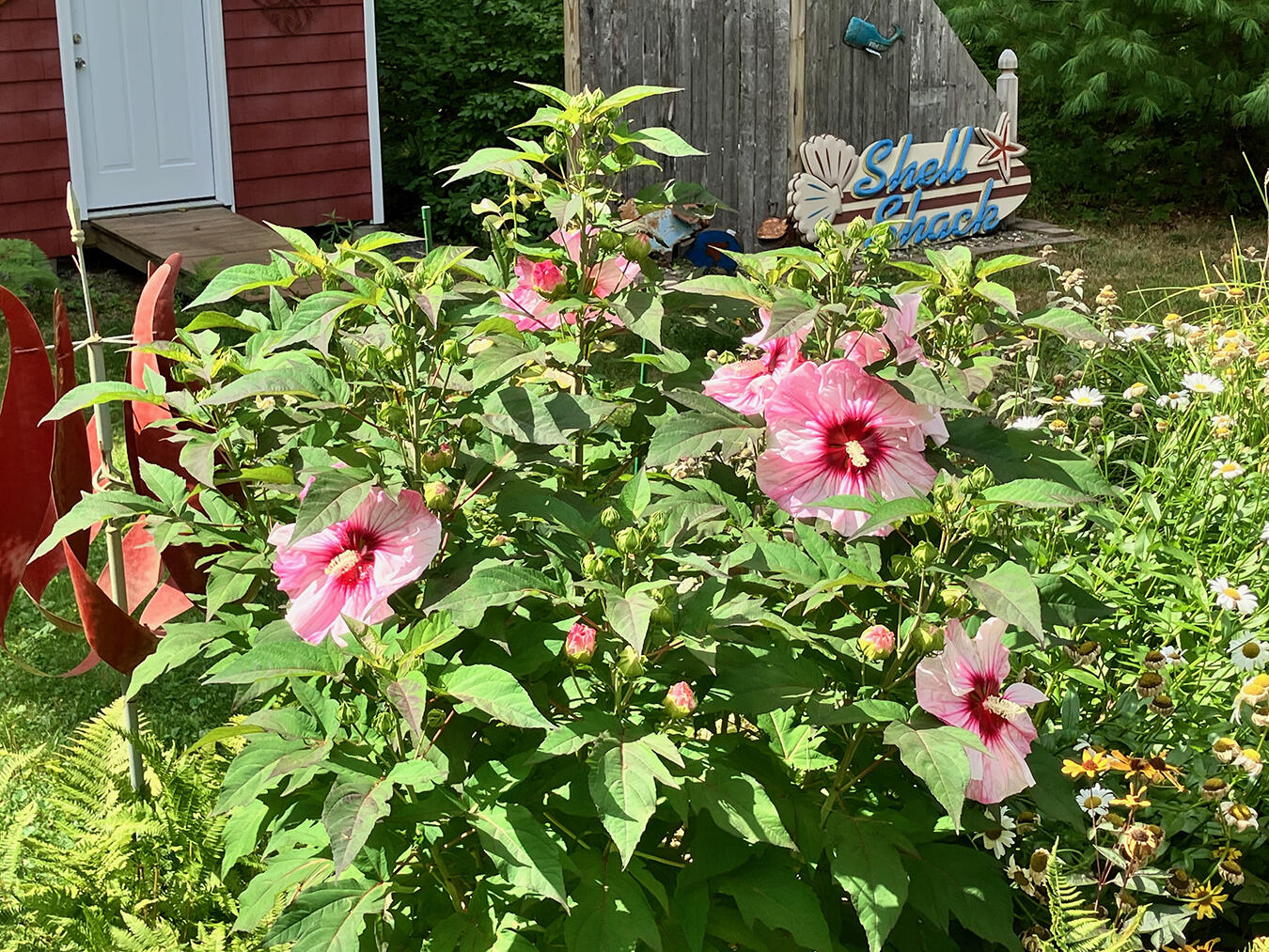 14 Lawrence Lane Kennebunk, ME 04043 - Photo 50 of 53 Hibiscus