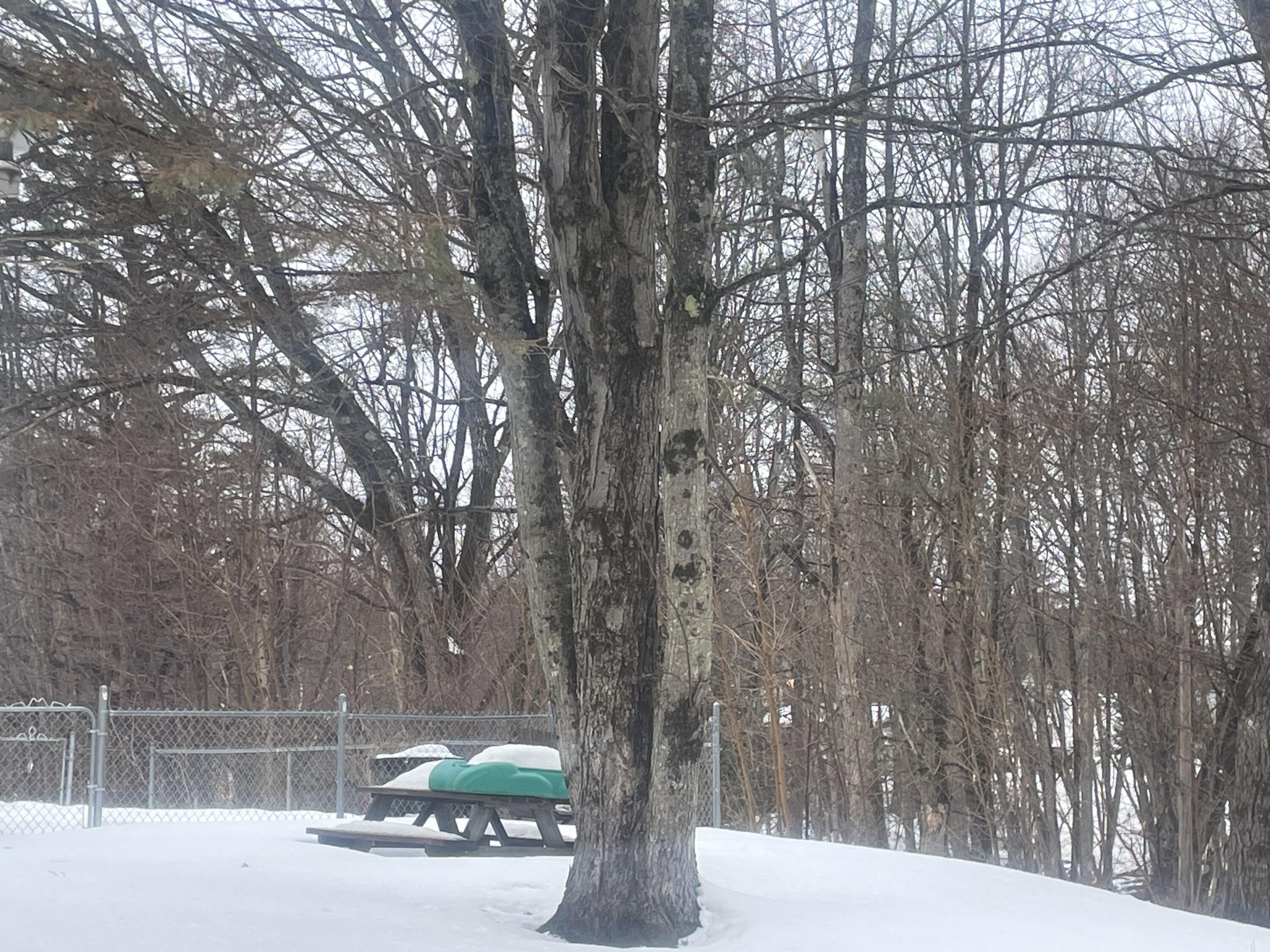 18 Plummer Street Lisbon, ME 04252 - Photo 10 of 24 IMG_7312