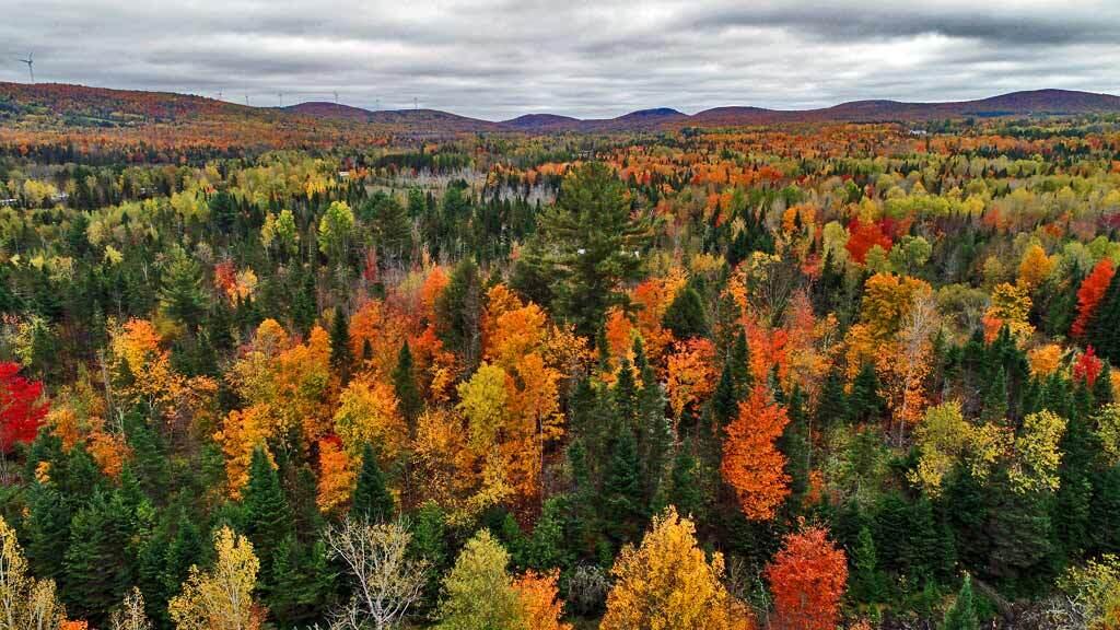 Lot 4 Off Webb Road Oakfield, ME 04763 - Photo 26 of 28 pretty-area-4-seasons-maine