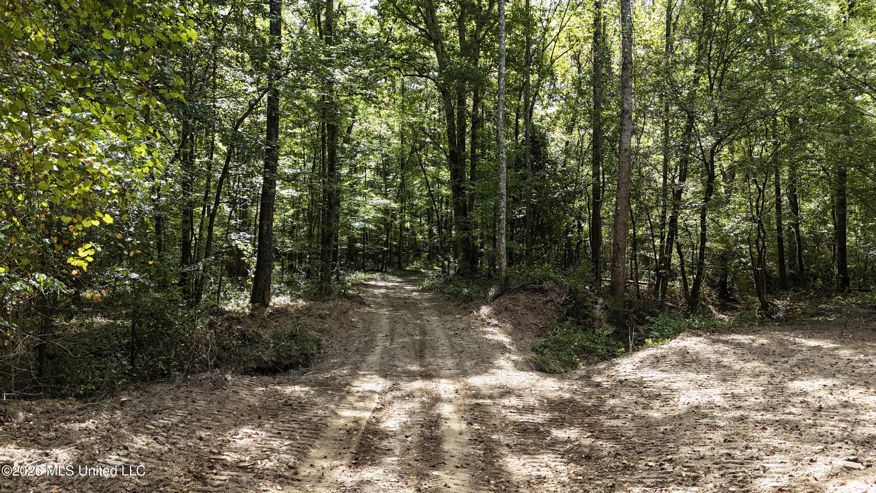 Shiloh Road Brandon, MS 39042 - Photo 2 of 127 3-DJI_20260901114121_0116_D