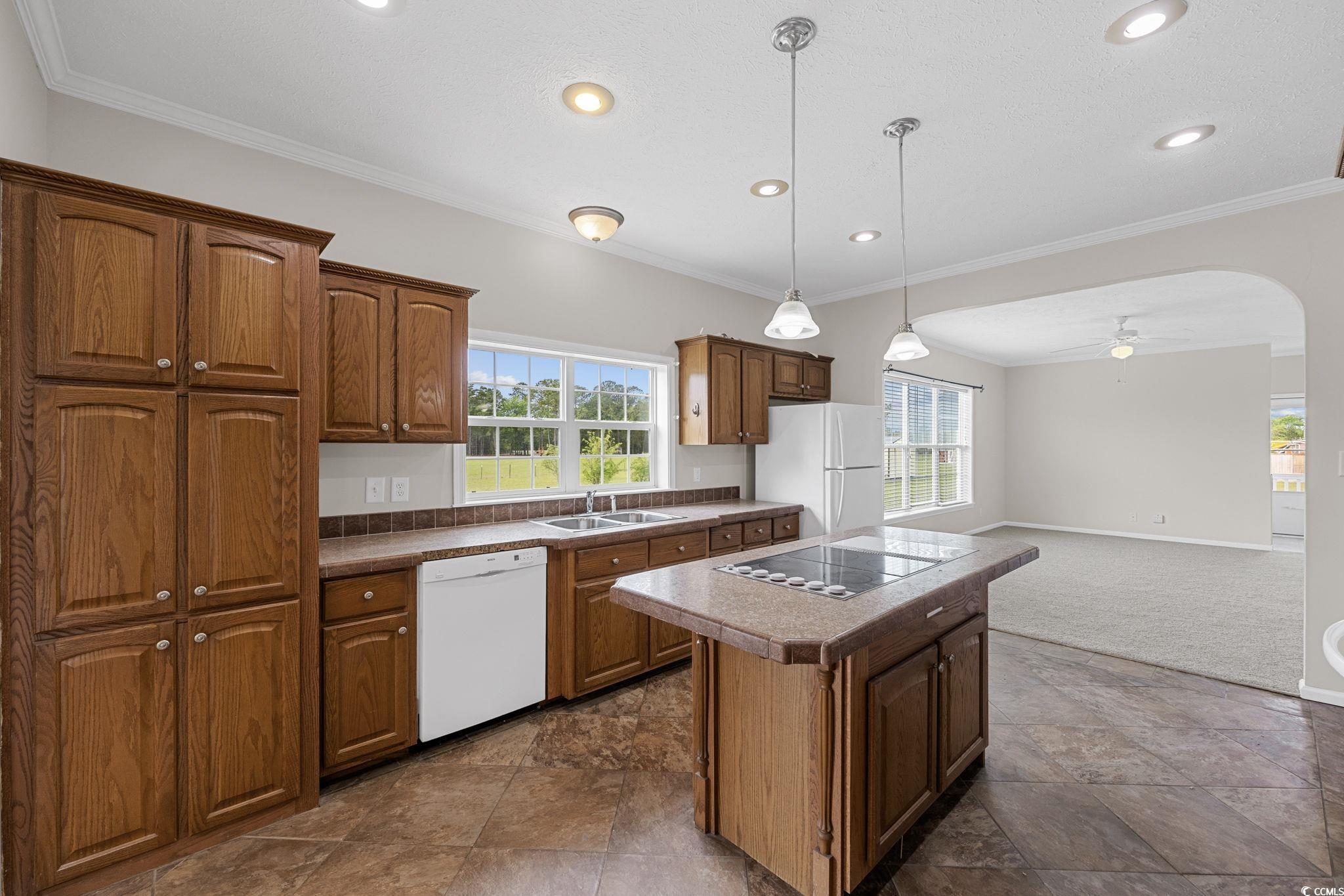 1254 Daisy Road Loris, SC 29569 - Photo 10 of 33 Gallery Image 10